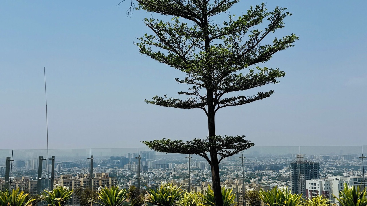 Photo of Outdoor in Bengaluru
