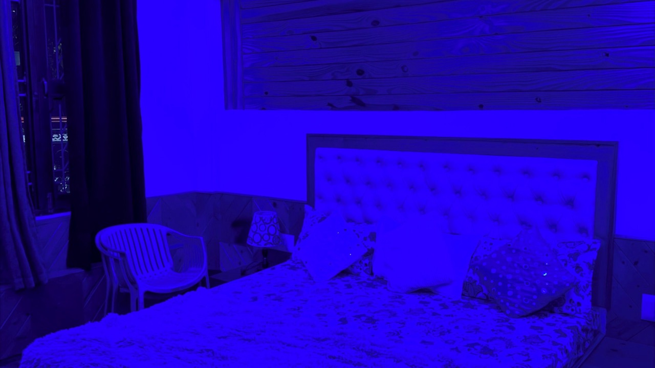 Photo of Bedroom in Mohal