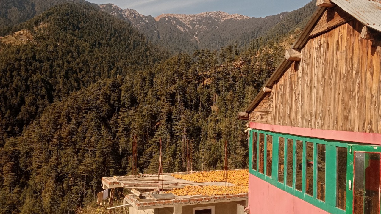 Photo of Outdoor in Renuka