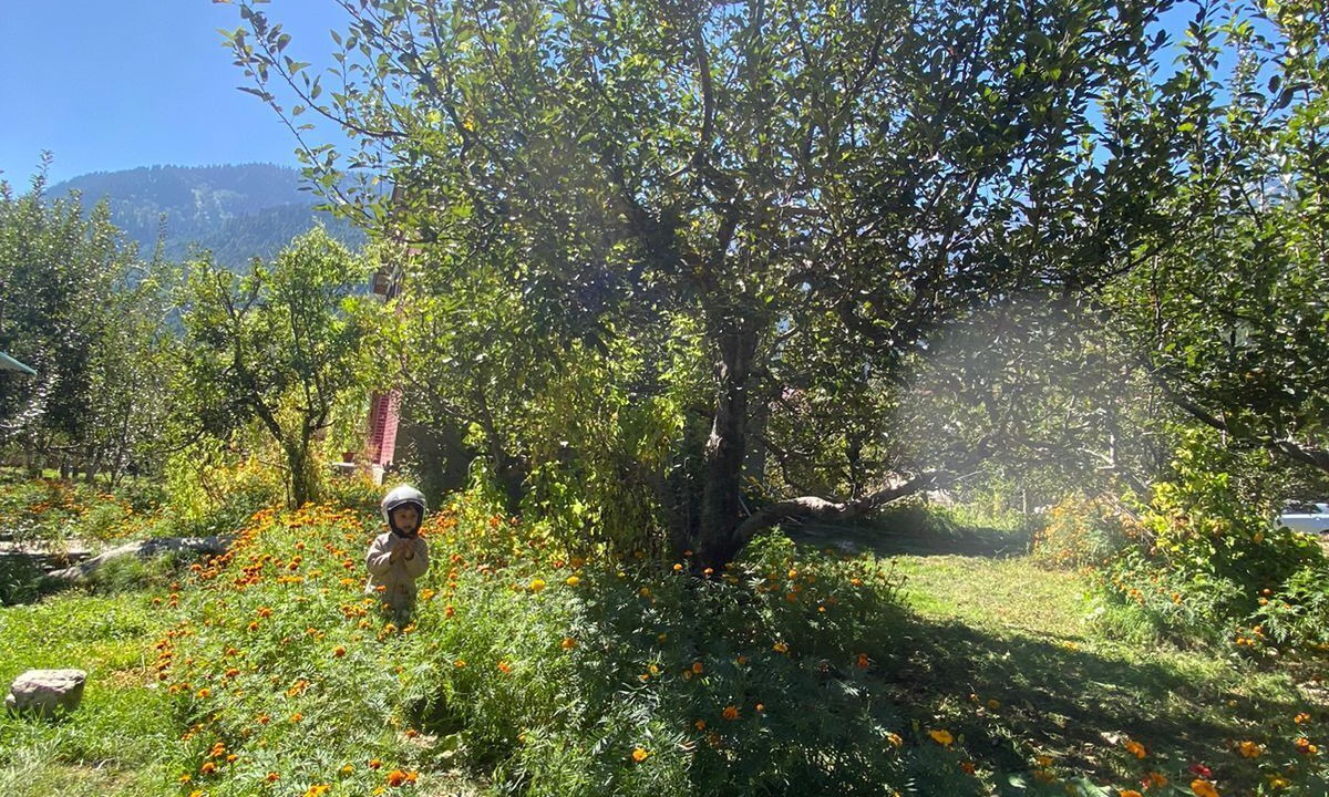 Photo of Outdoor in Manali