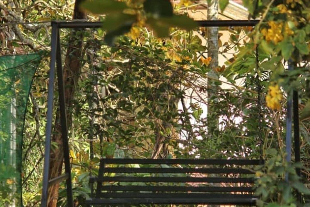 Photo of Others in Mananthavady