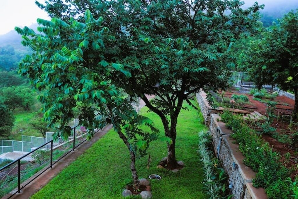 Photo of Outdoor in Medha