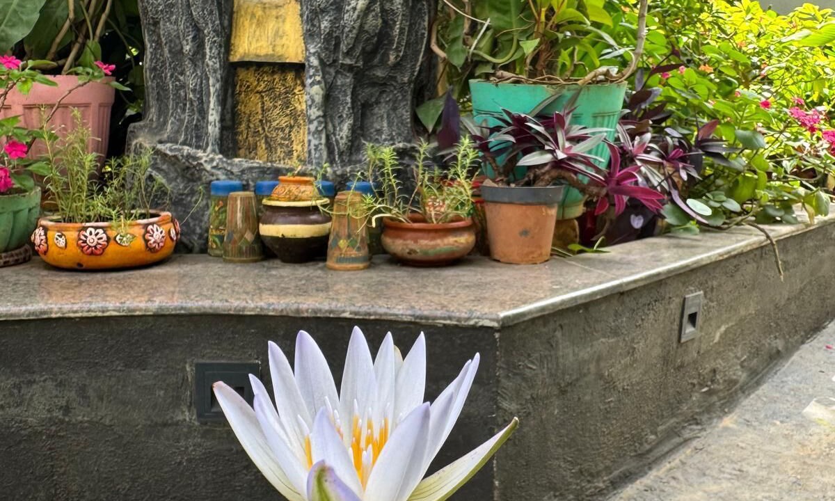 Photo of Outdoor in Bengaluru
