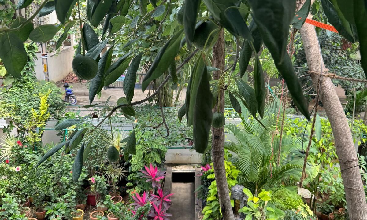 Photo of Outdoor in Bengaluru