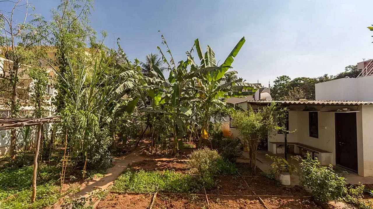 Photo of Outdoor in Bengaluru