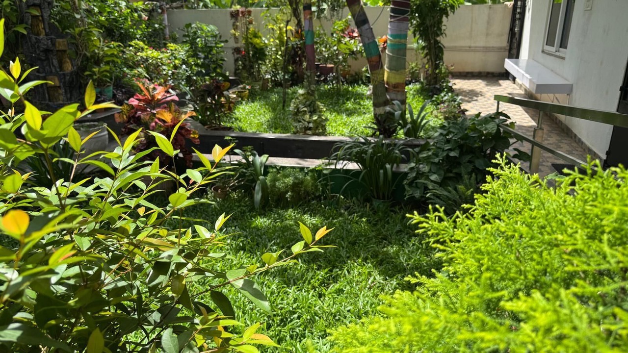 Photo of Outdoor in Bengaluru