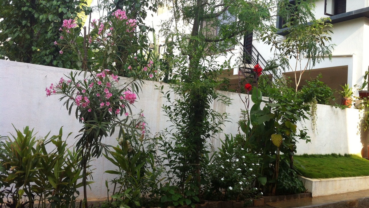 Photo of Outdoor in Bengaluru