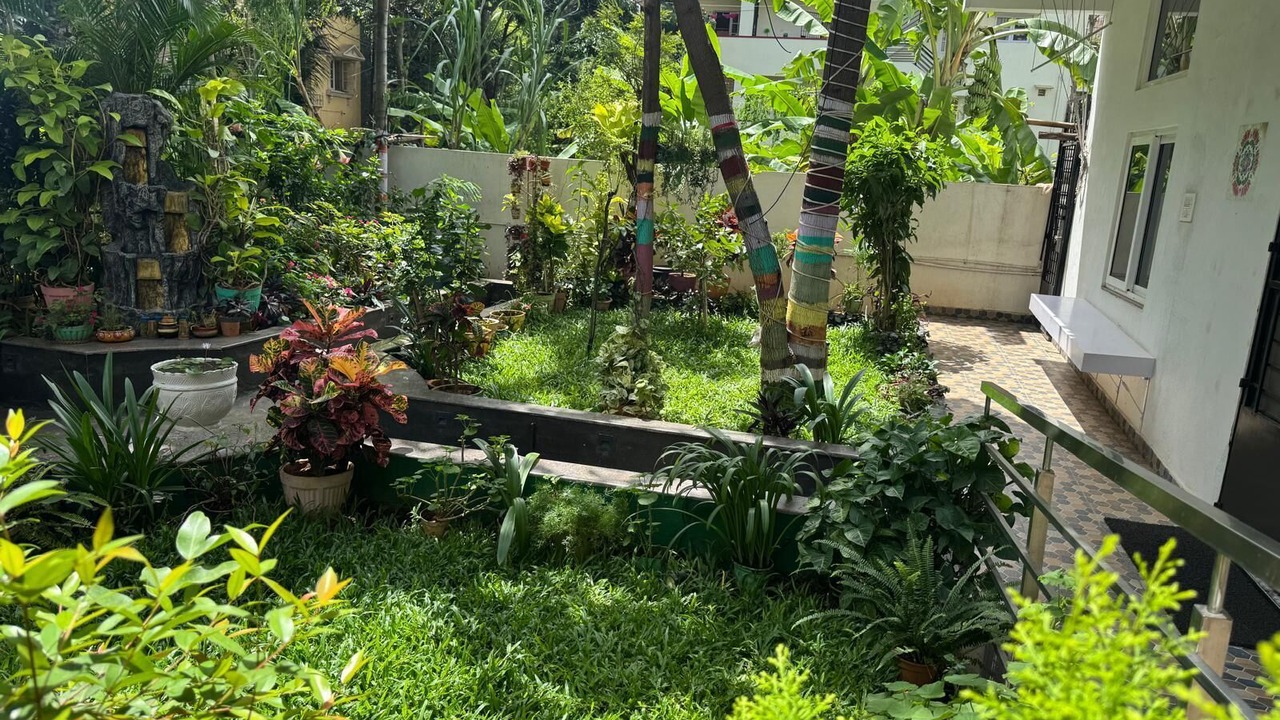 Photo of Outdoor in Bengaluru