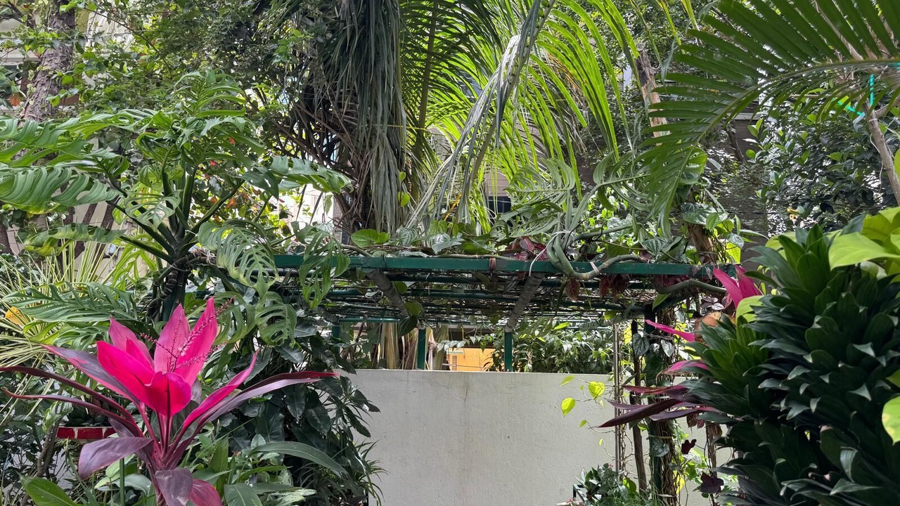 Photo of Outdoor in Bengaluru