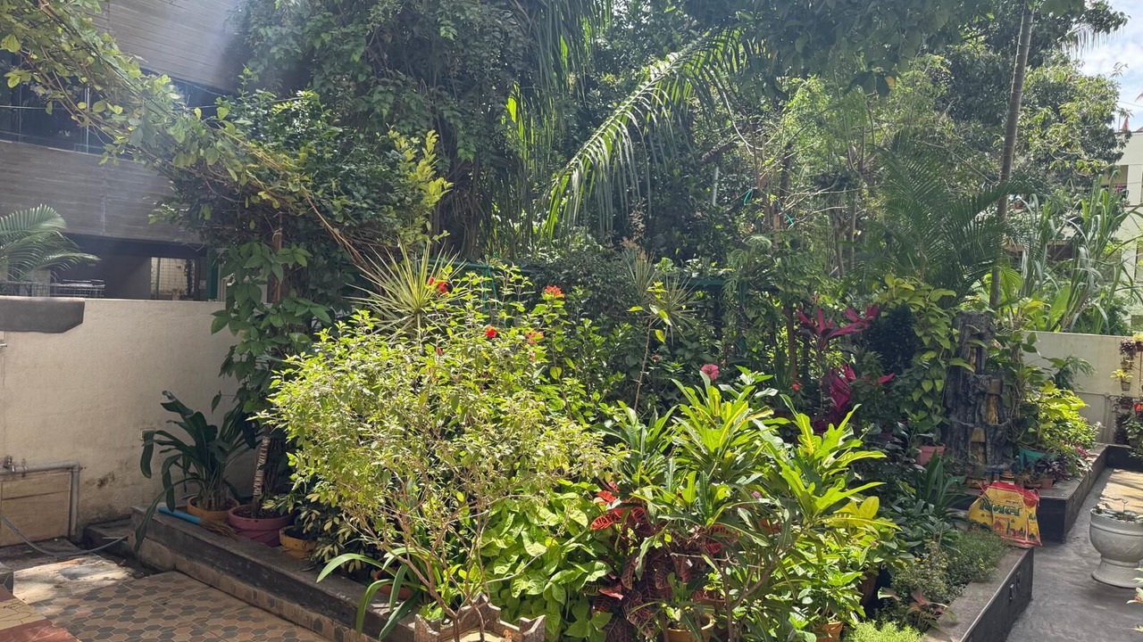Photo of Outdoor in Bengaluru