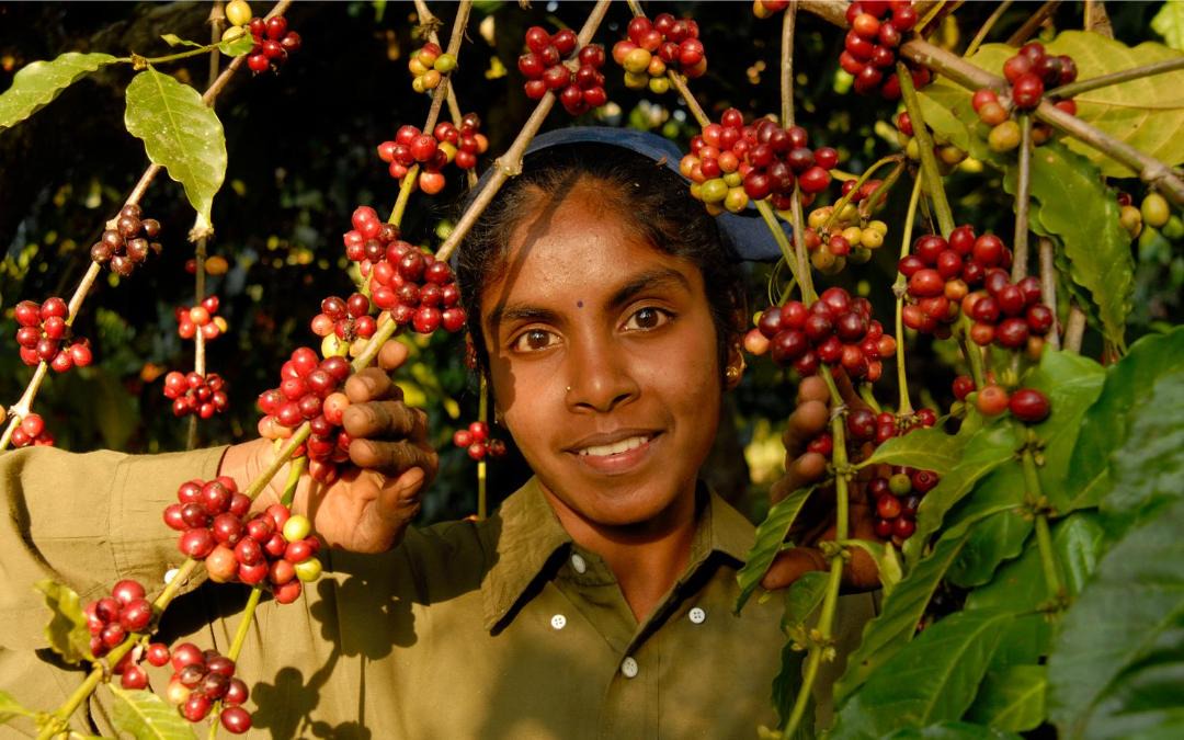 Photo of Others in Siddapura