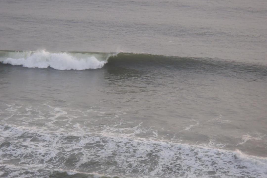 Photo of Others in Varkala