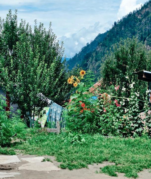 Photo of Others in Kullu