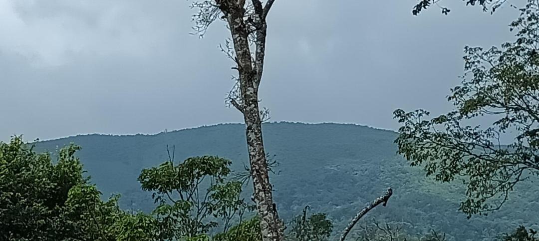 Photo of Others in Virarajendrapet