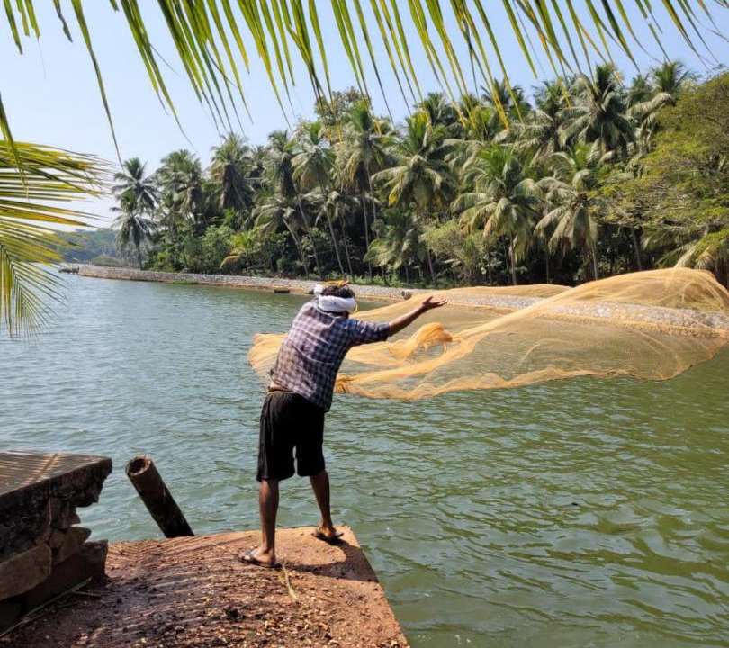 Photo of Others in Kozhikode