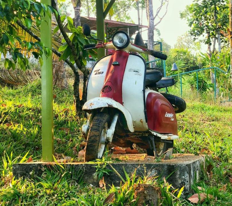 Photo of Outdoor in Anachal