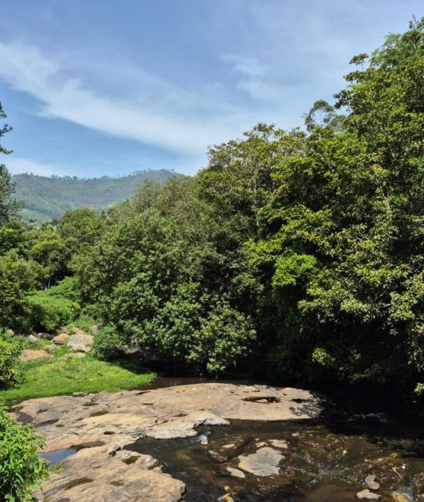 Photo of Others in Kodaikanal