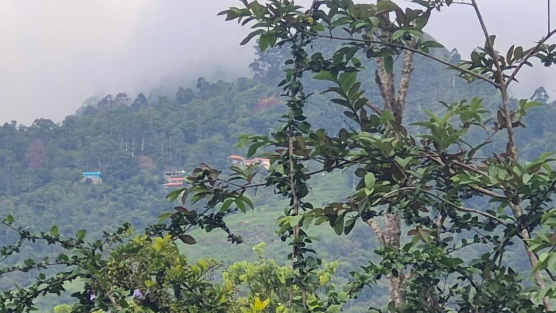 Photo of Others in Kodaikanal