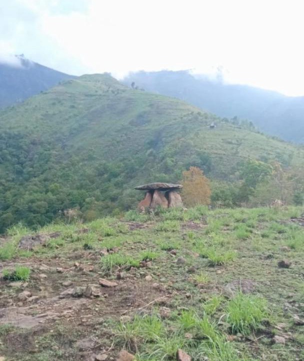Photo of Others in Kodaikanal
