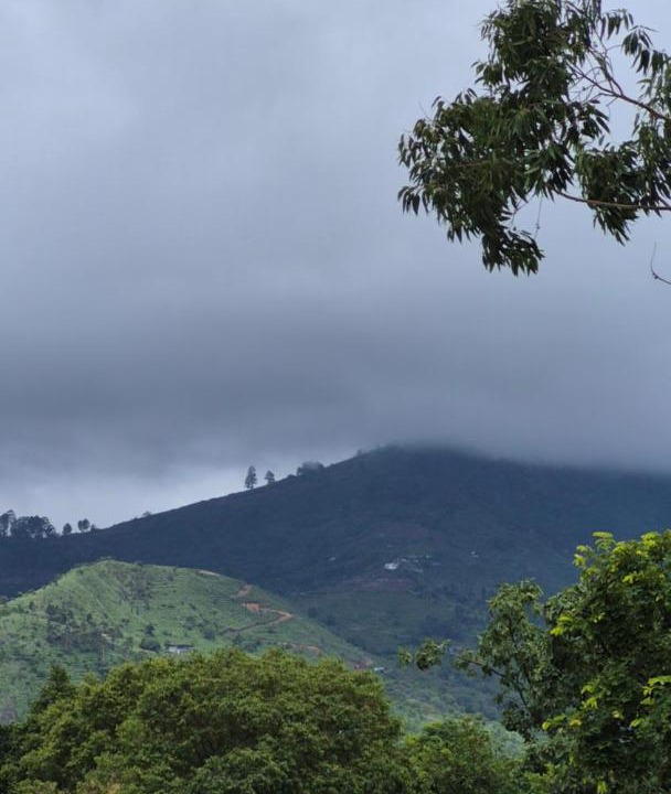 Photo of Others in Kodaikanal