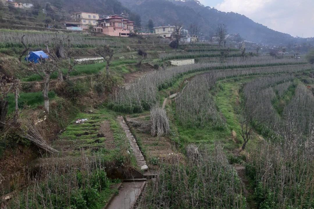 Photo of Others in Solan