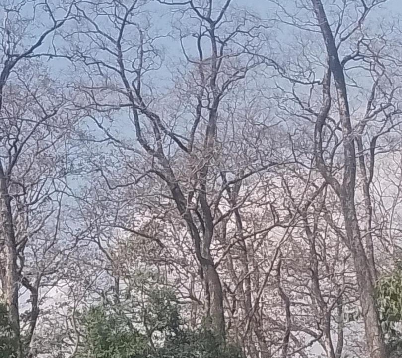 Photo of Others in Nainital