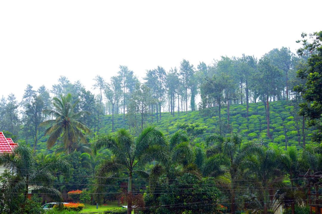 Photo of Others in Kalpetta