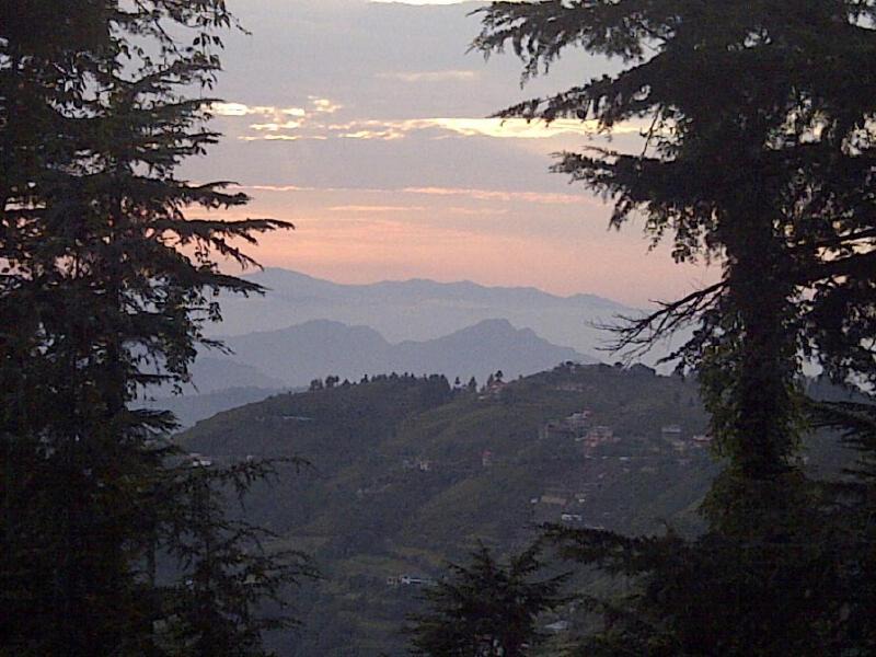 Photo of Others in Naldehra
