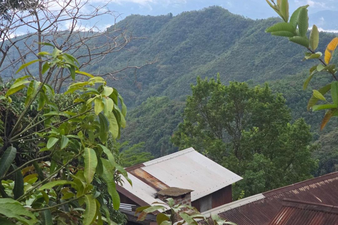 Photo of Others in Zunheboto