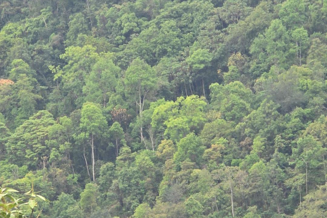 Photo of Others in Zunheboto