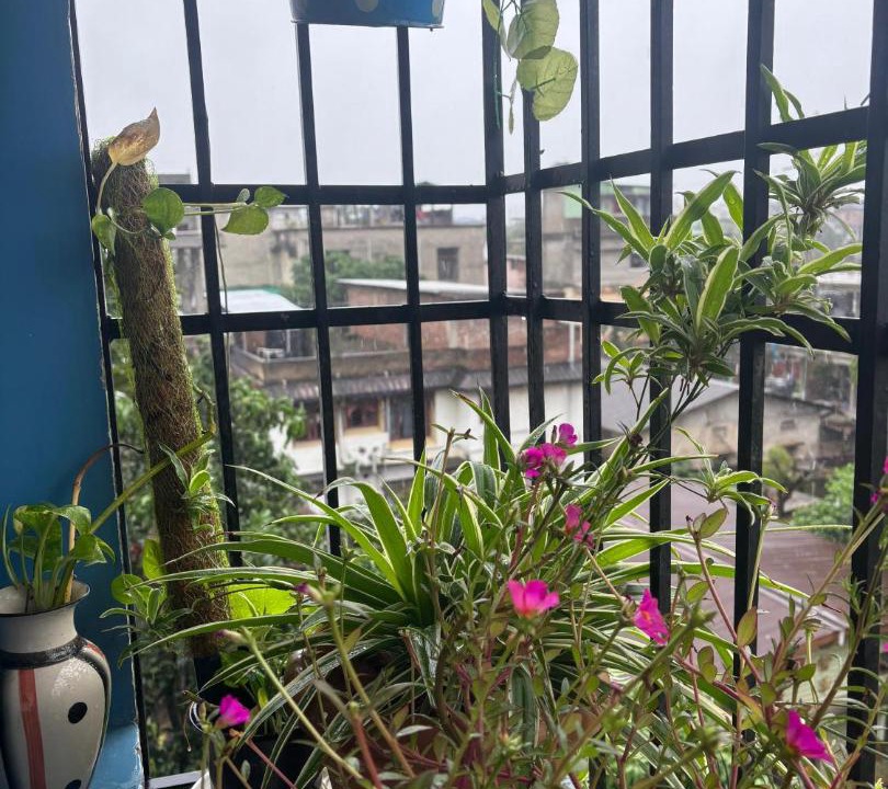Photo of Patio Balcony in Sualkuchi