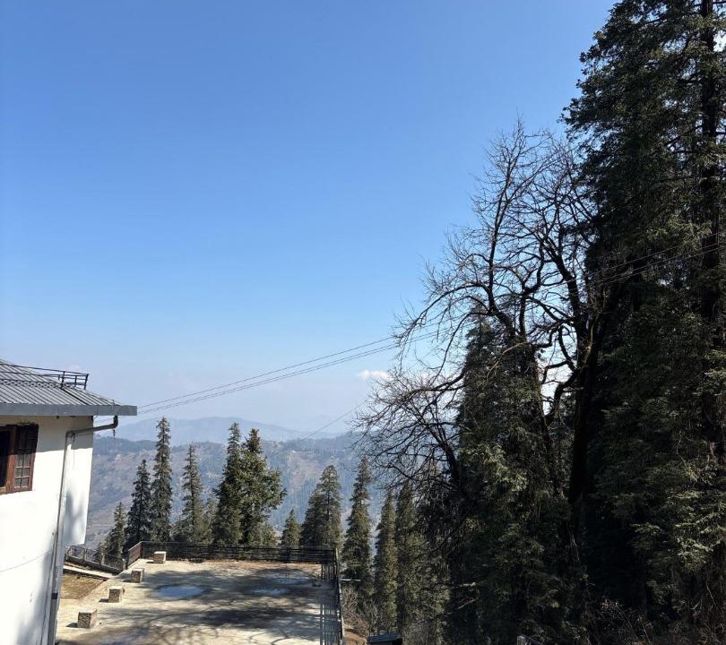Photo of Others in Narkanda
