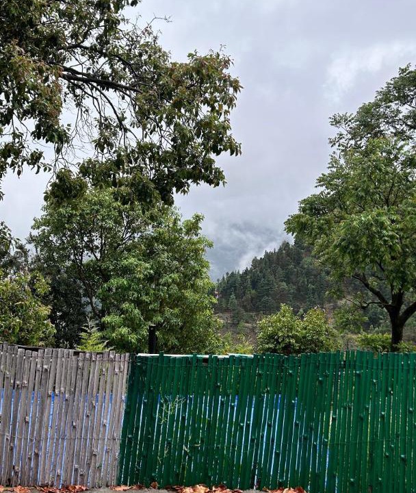 Photo of Others in Naina Range