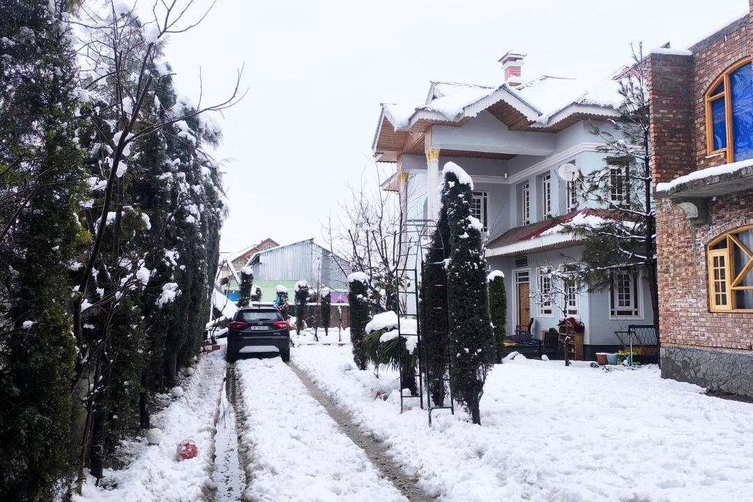 Photo of Others in Srinagar
