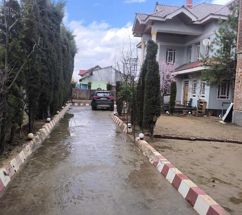 Photo of Others in Srinagar