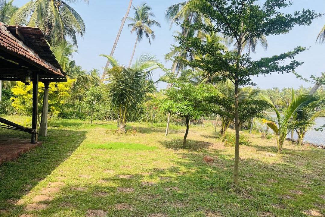 Photo of Others in Kozhikode