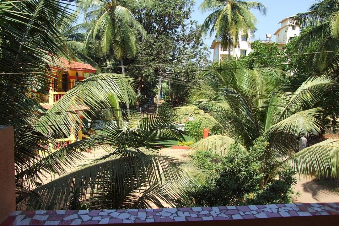 Photo of Others in Calangute