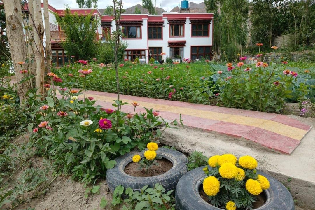 Photo of Others in Leh