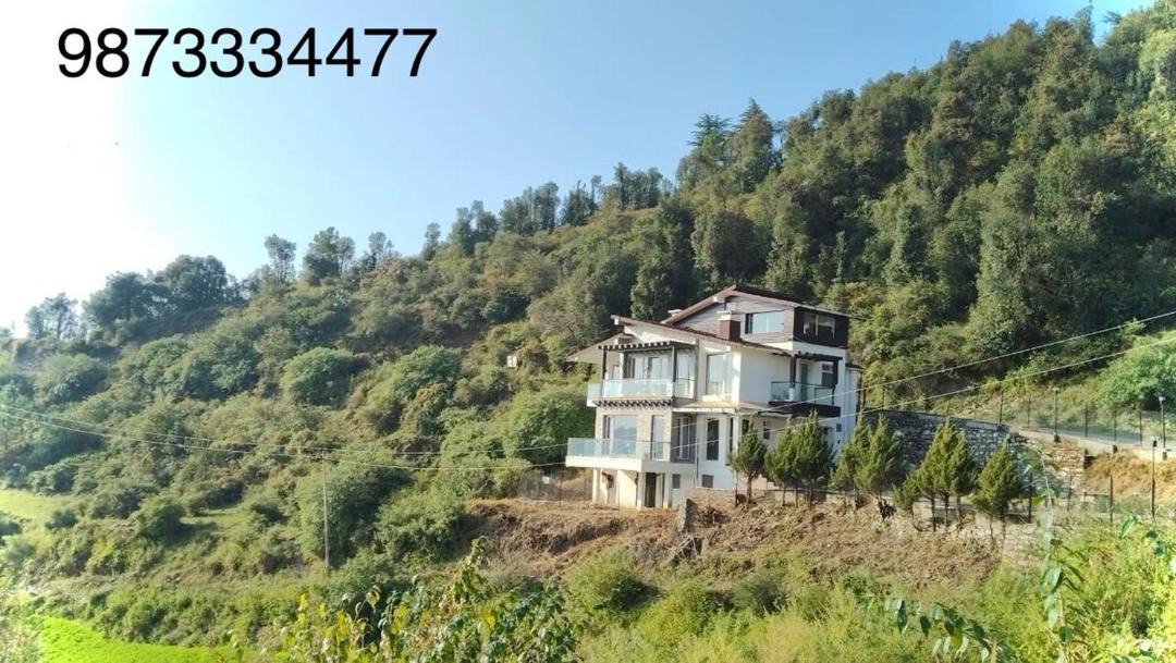 Photo of Others in Shimla