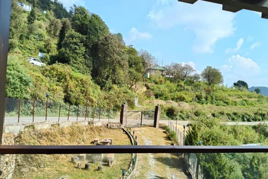 Photo of Others in Shimla