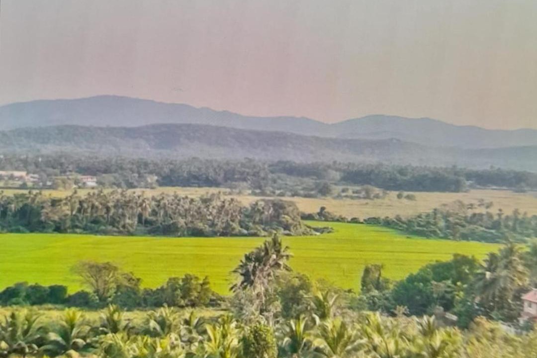 Photo of Others in Cuncolim