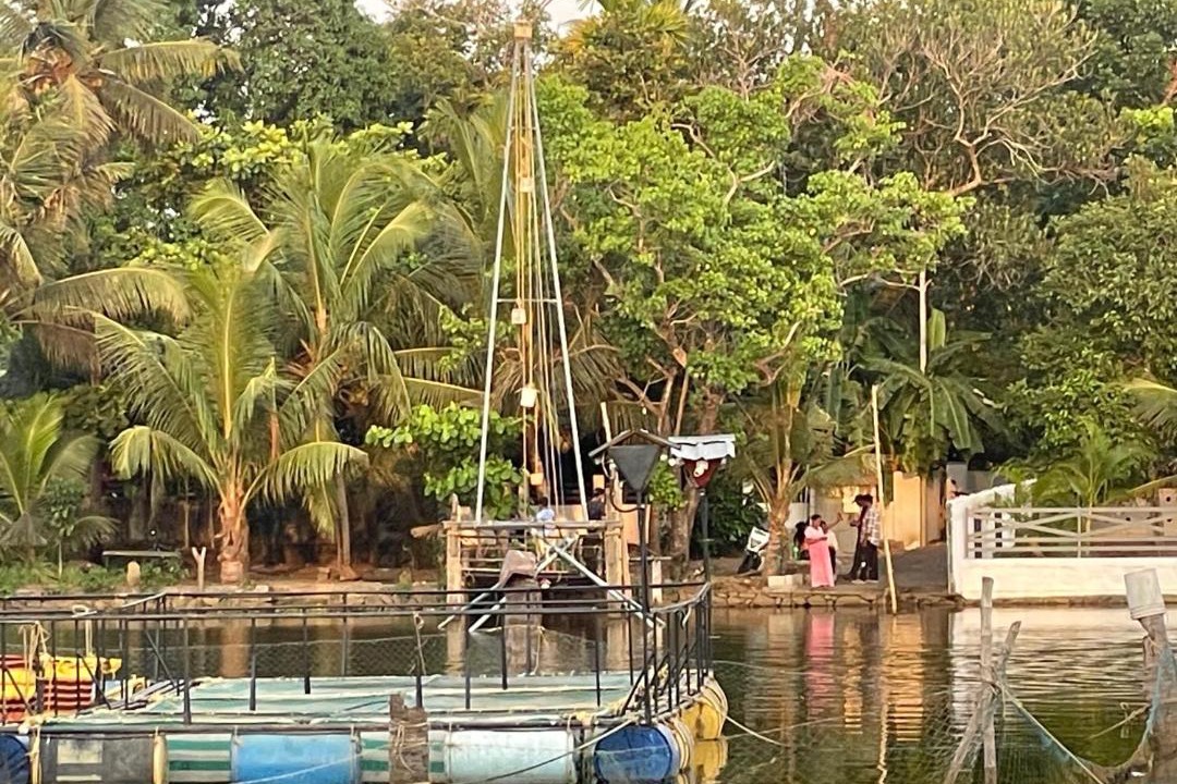 Photo of Others in North Paravur
