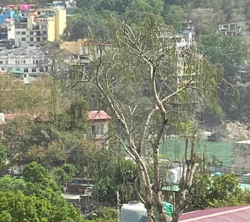 Photo of Others in Tapovan