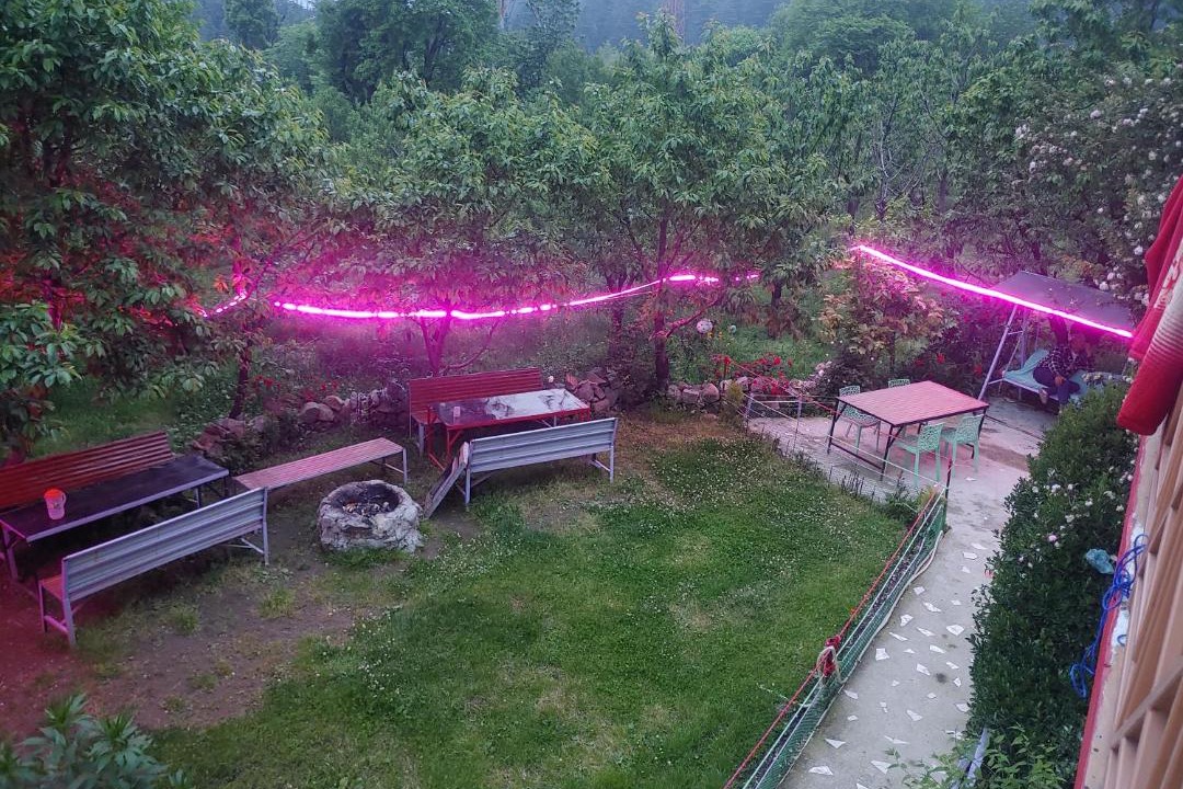 Photo of Others in Old Manali