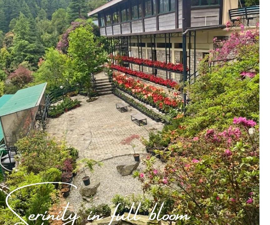 Photo of Others in Gangtok