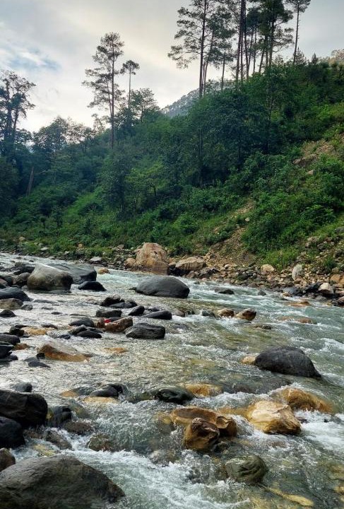 Photo of Others in Uttarkashi