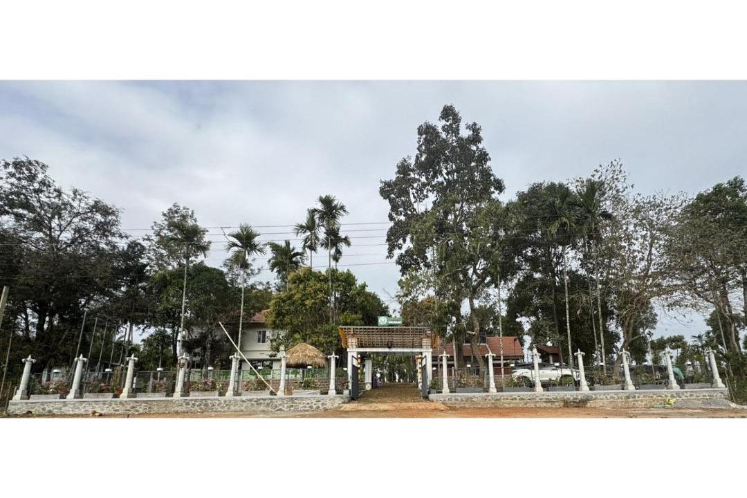 Photo of Others in Mananthavady