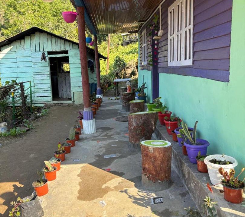 Photo of Others in Darjeeling