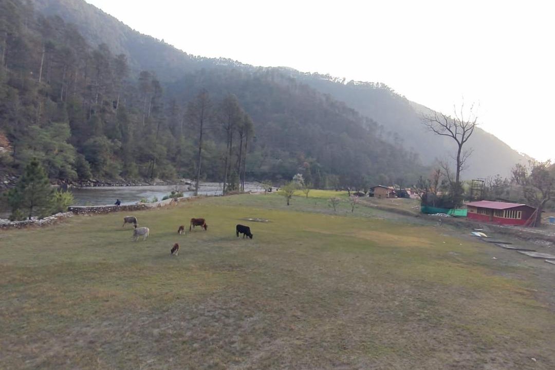 Photo of Others in Purola