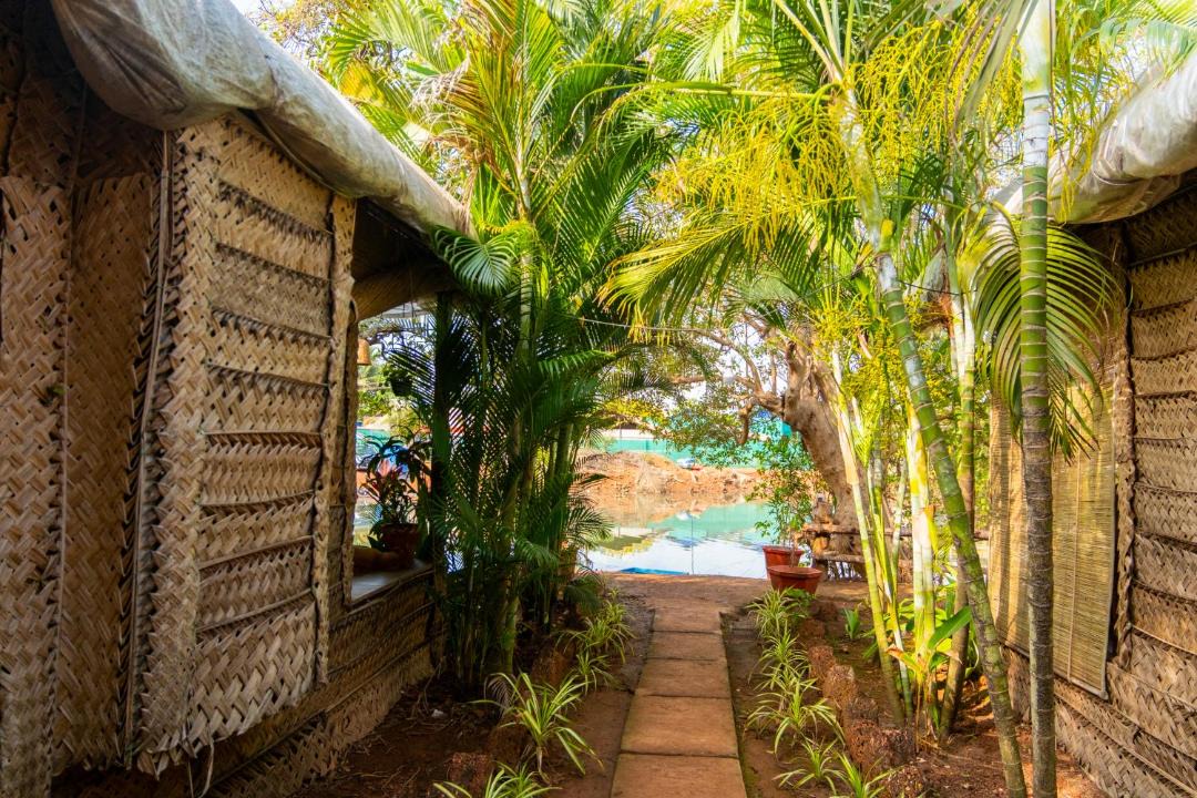 Photo of Others in Agonda